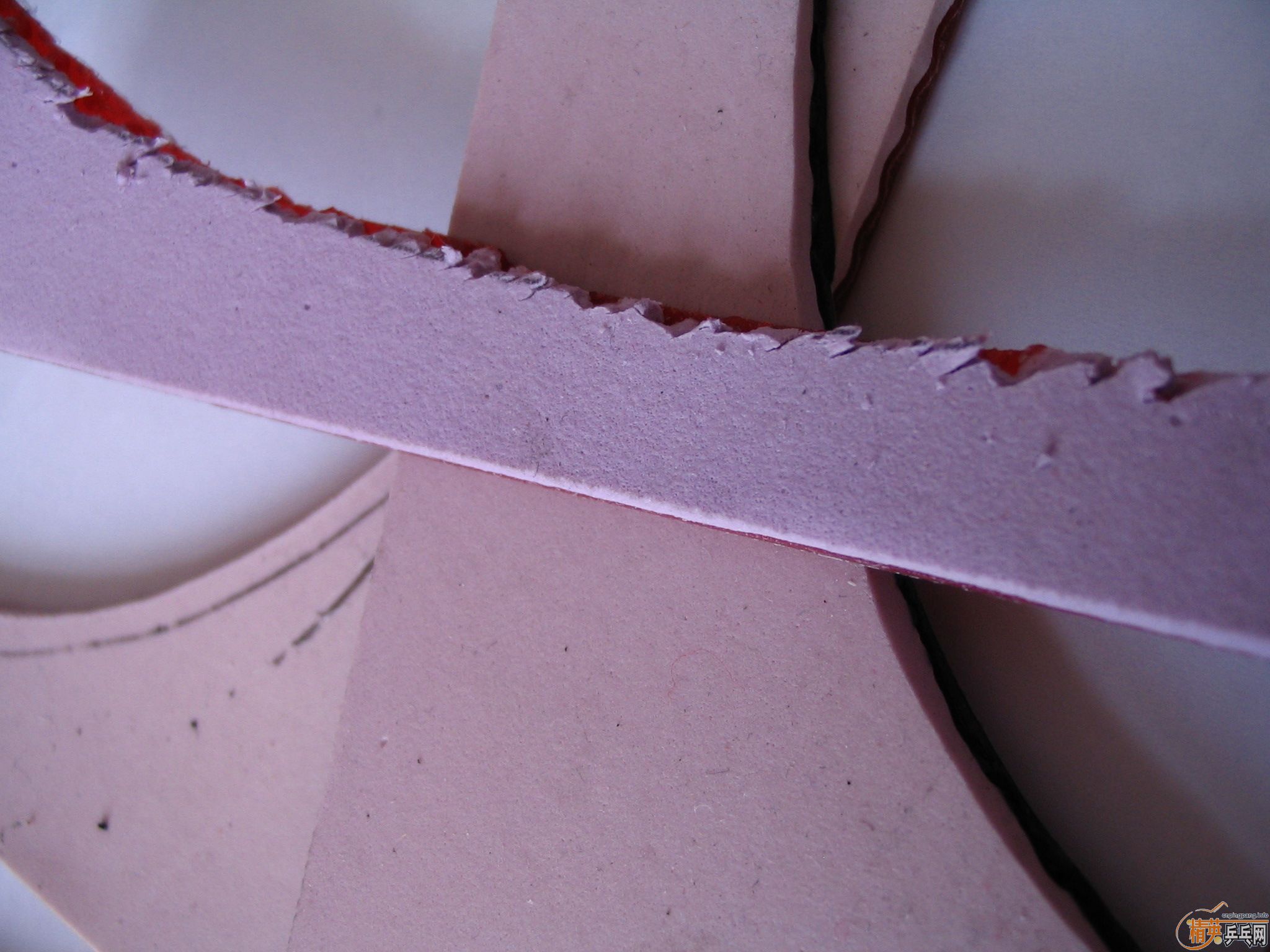 cj8000�Ľ�Ƥ���мٵ���(ͼƬ�Աȣ�