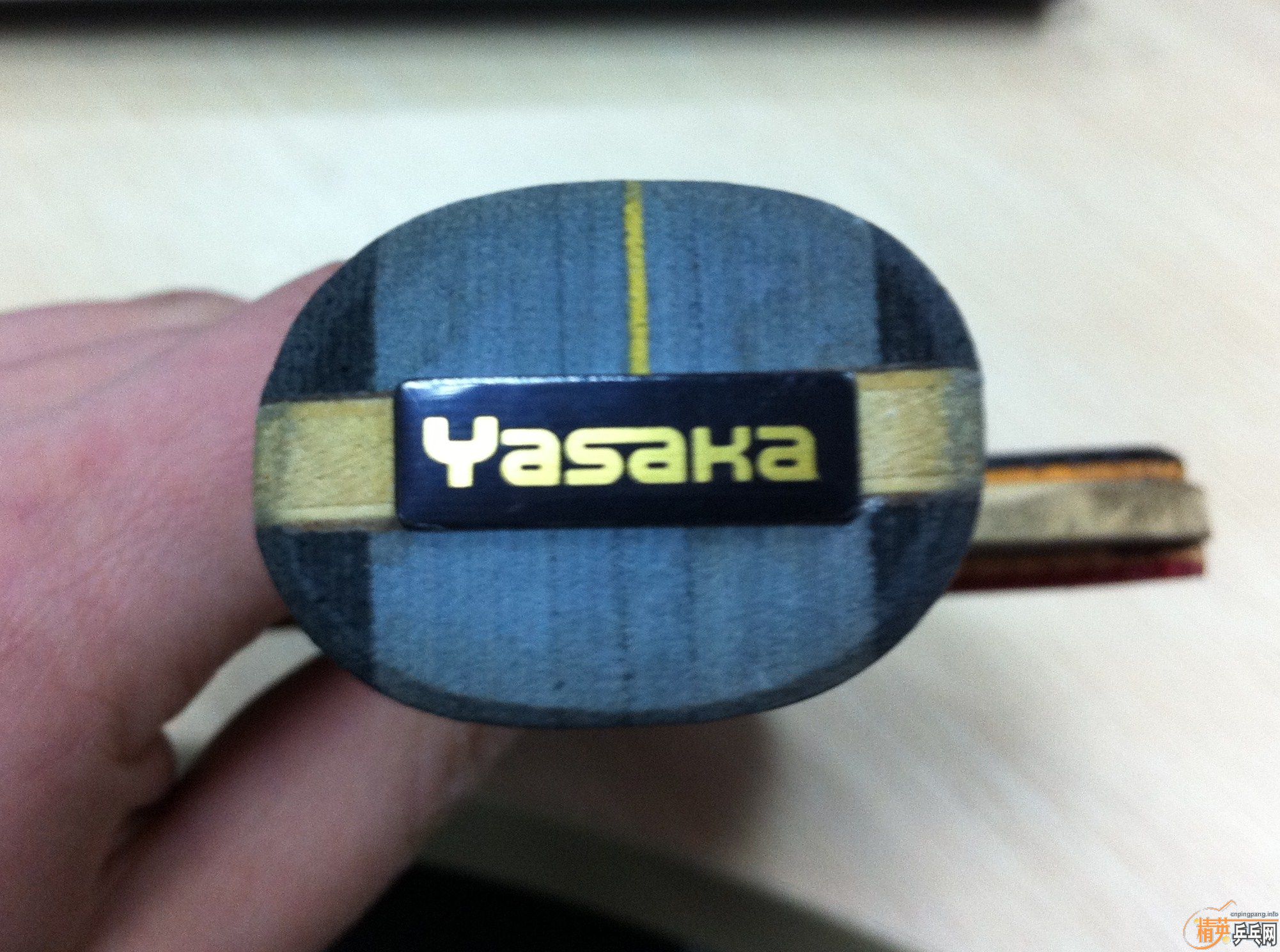 [ԭ��]�����������������������С���٣�õ��5�����հ�YEO��������̼����������̫�࣬��Ҷ������񣬿϶����Ҷ���֧��������