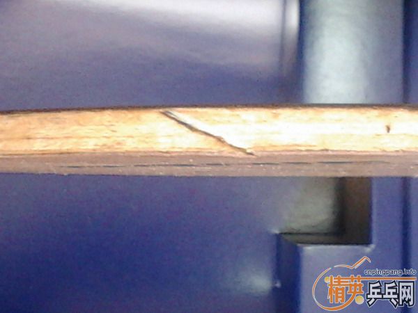 ��donic ����� ��ǡ��� ������