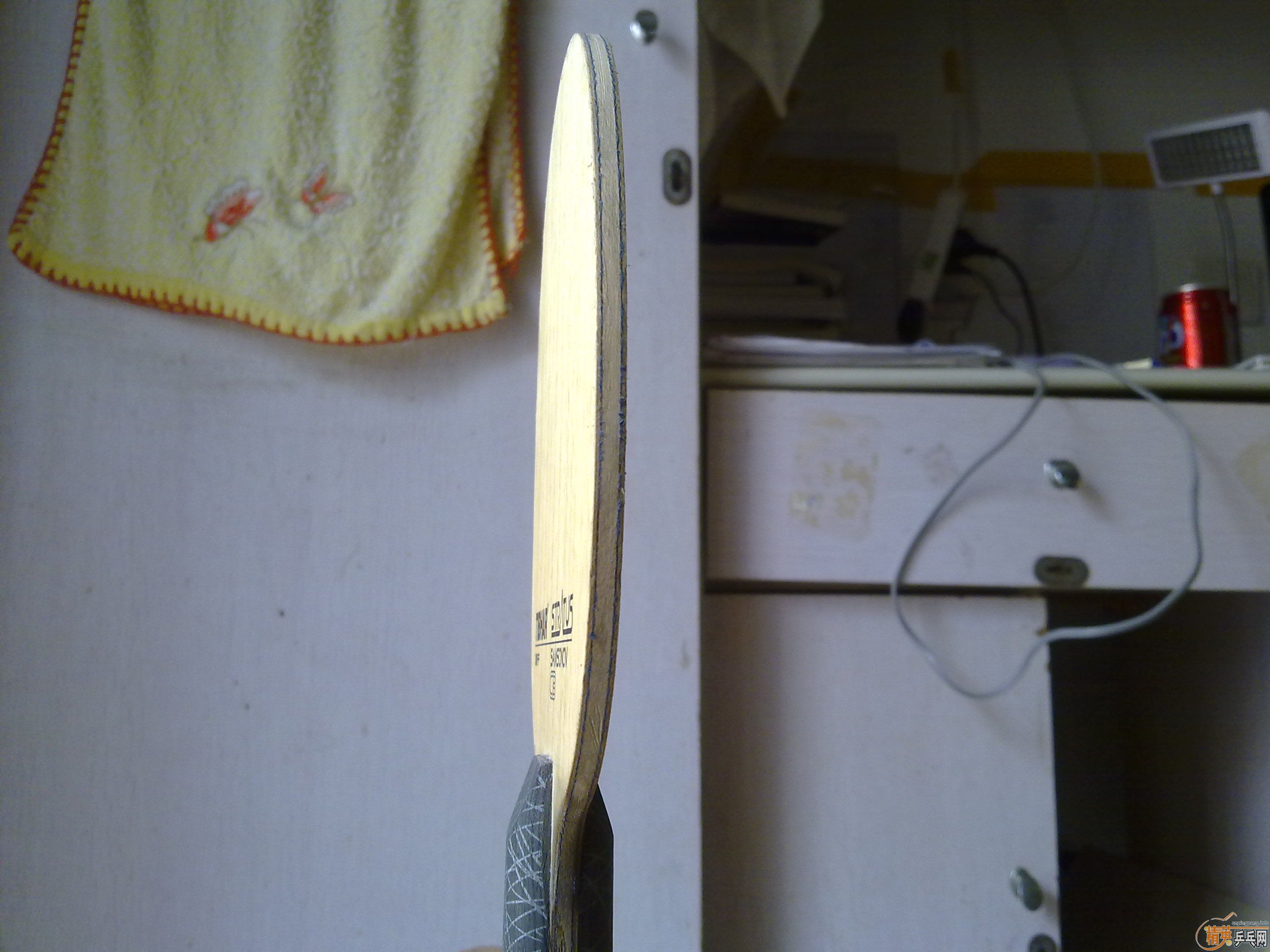 ���¿�����������ͼ��390���ʳ���̼