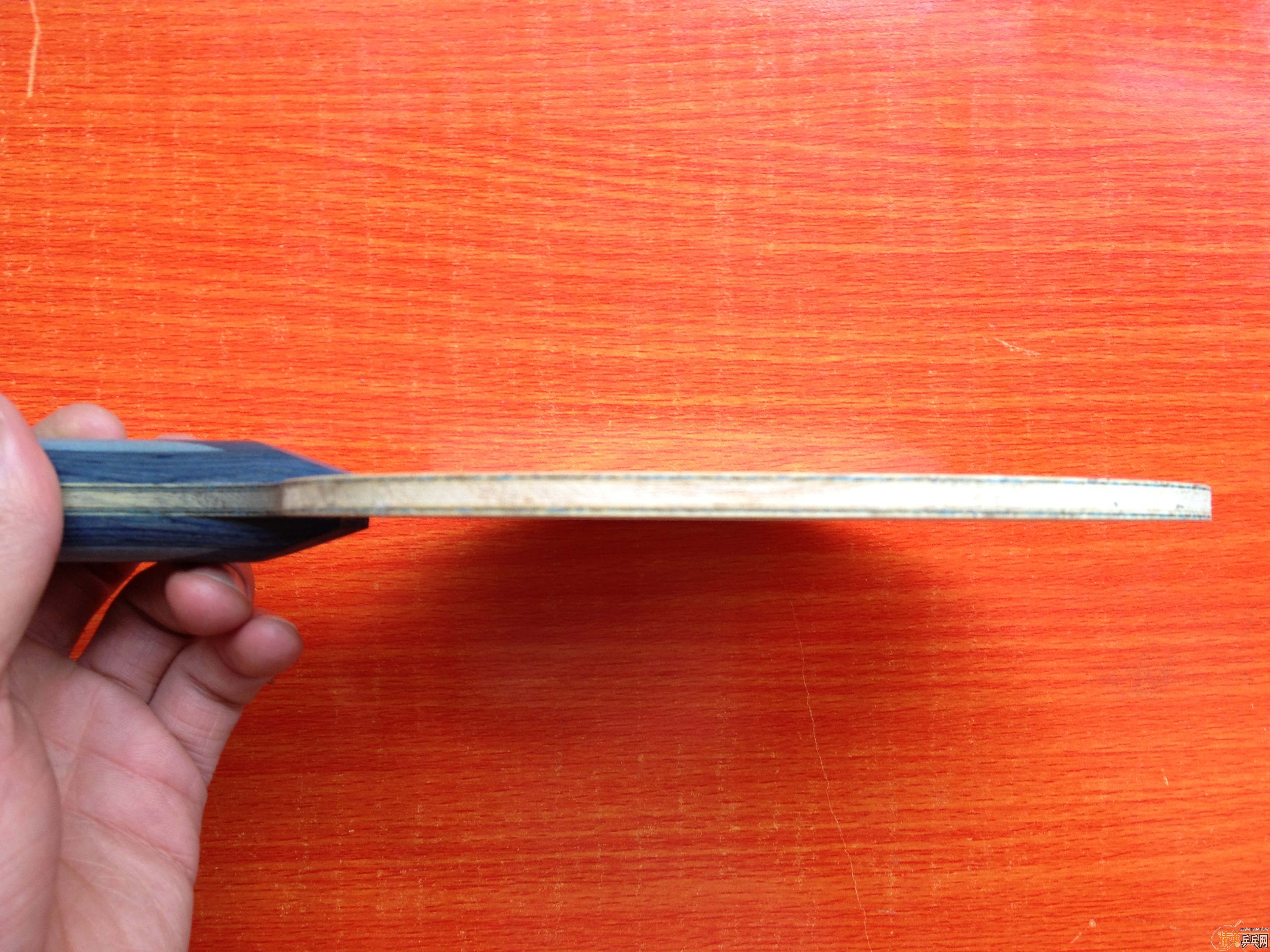 �����ʡ��+++++����˹����EL��Ҫ�����ѽ�������