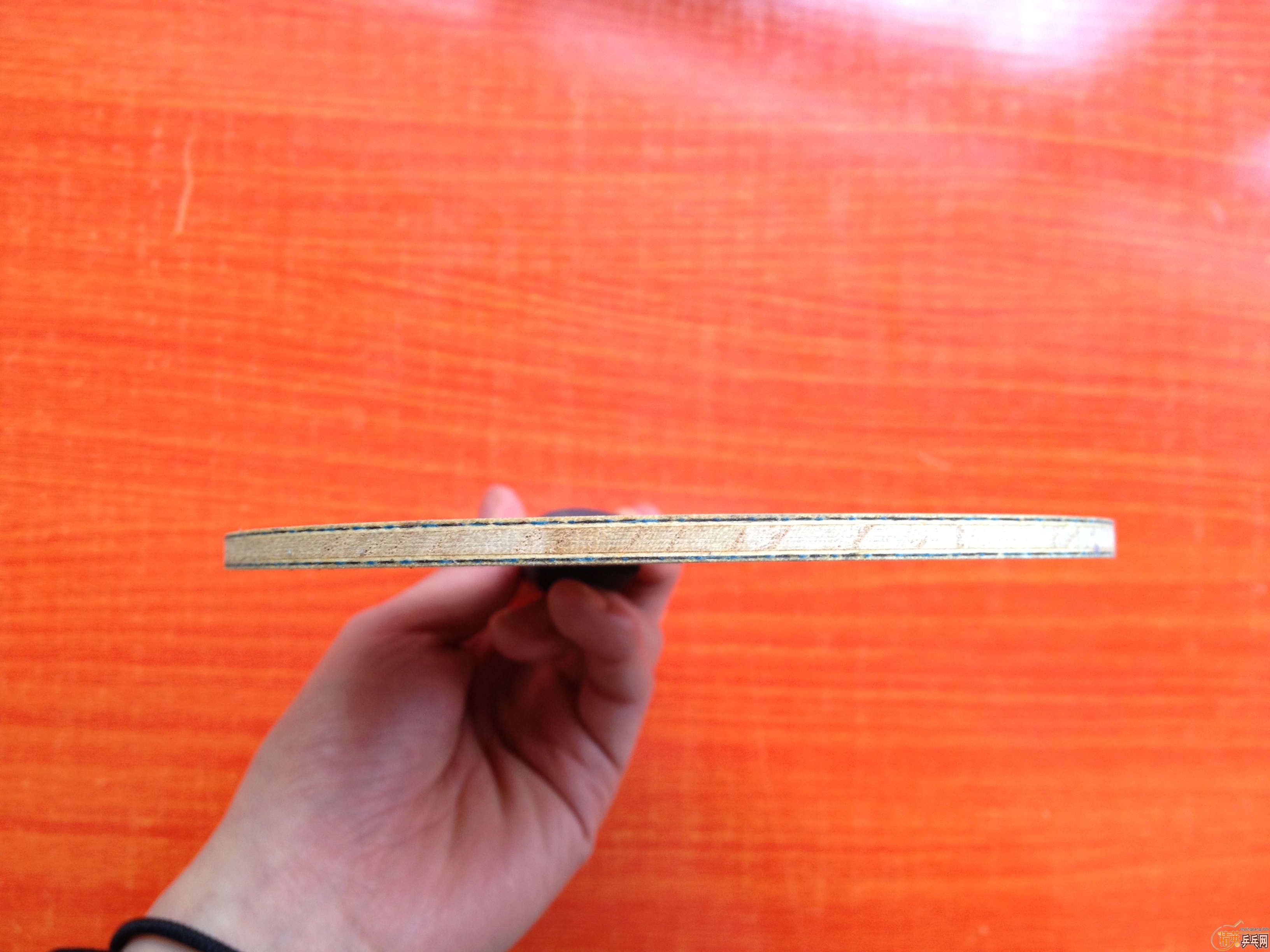 �����ʡ��+++++����˹����EL��Ҫ�����ѽ�������