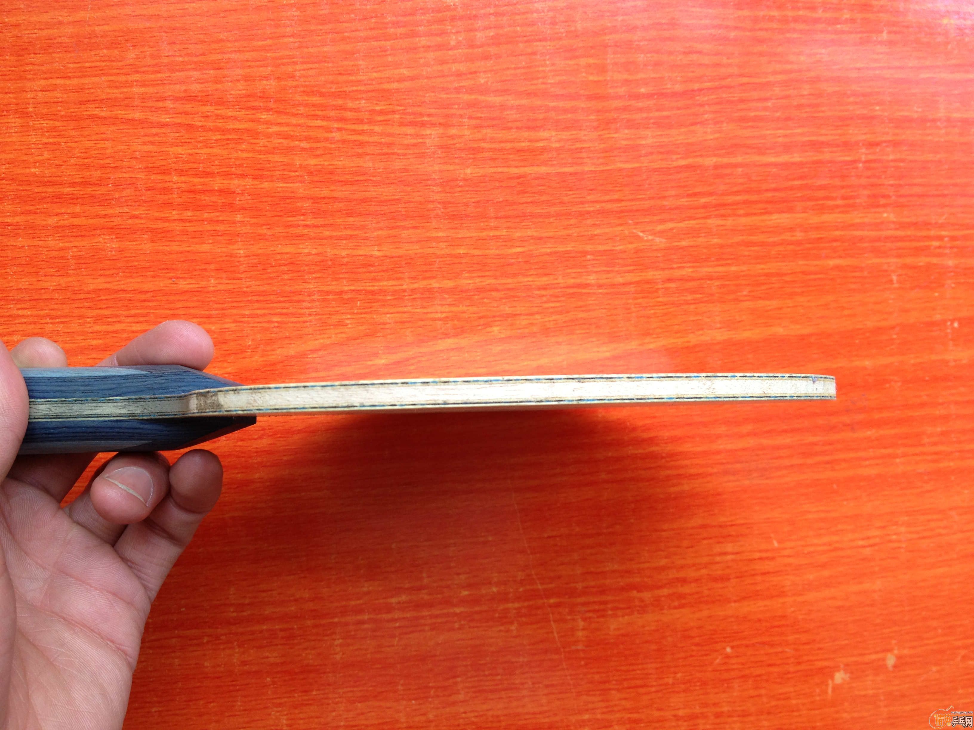 �����ʡ��+++++����˹����EL��Ҫ�����ѽ�������