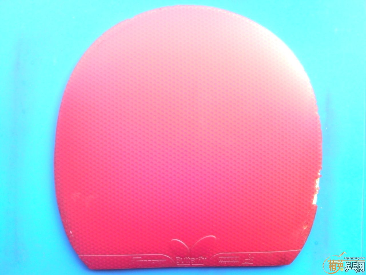 �������ˣ�F1�Ĵ���˰���������̼�Ӵ���׽���С�����׽����418��˳�ᡣ֧�������ס�