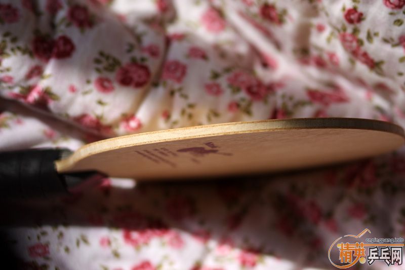 �����ó�һ֧�ղص�����С����