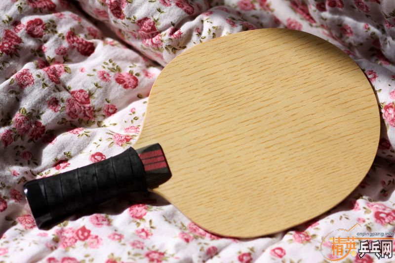 �����ó�һ֧�ղص�����С����