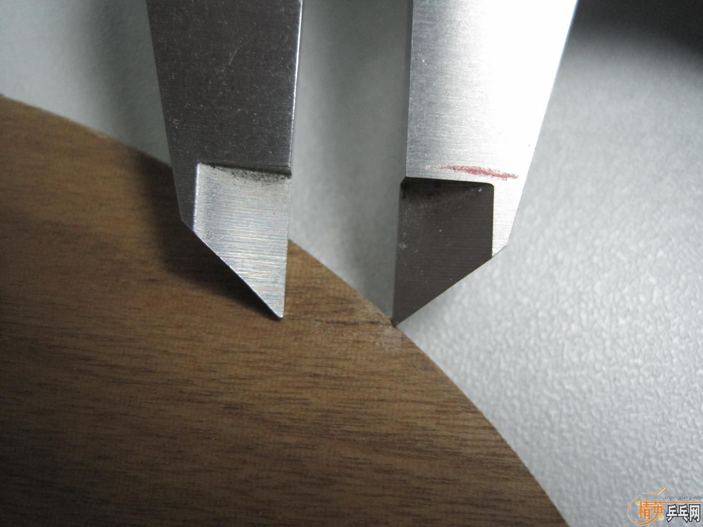 ��Nittku Rutis �����װ�