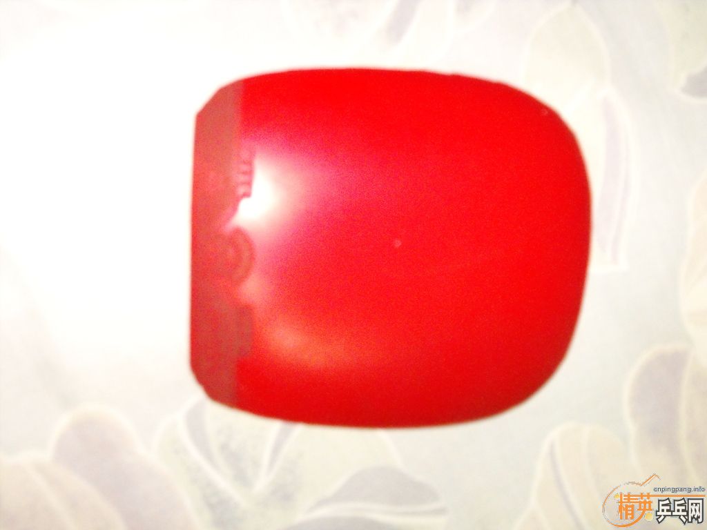 ��һ����������ֱ��ֻ������Сһ�ţ��Ǻǣ�  300���� Ʒ��޺� ֧�������� ˬ�����ͽ�Ƥ