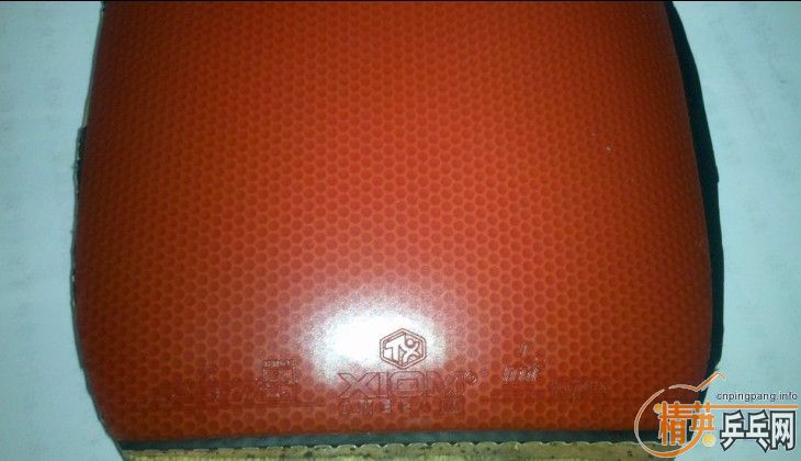 10�Ÿ߶���ֱ�׽������׽���10����ֱ�׽�.���500Ԫ����