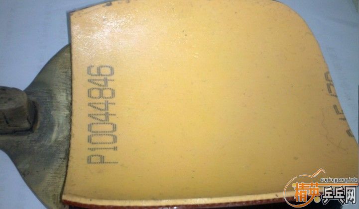 10�Ÿ߶���ֱ�׽������׽���10����ֱ�׽�.���500Ԫ����