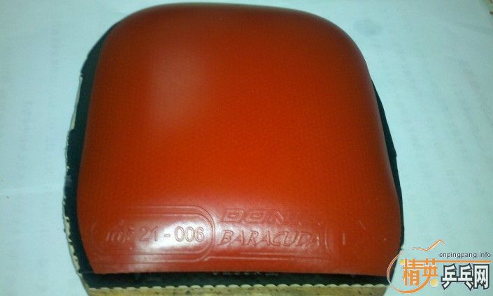 10�Ÿ߶���ֱ�׽������׽���10����ֱ�׽�.���500Ԫ����