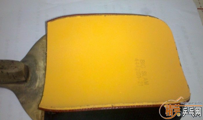 10�Ÿ߶���ֱ�׽������׽���10����ֱ�׽�.���500Ԫ����