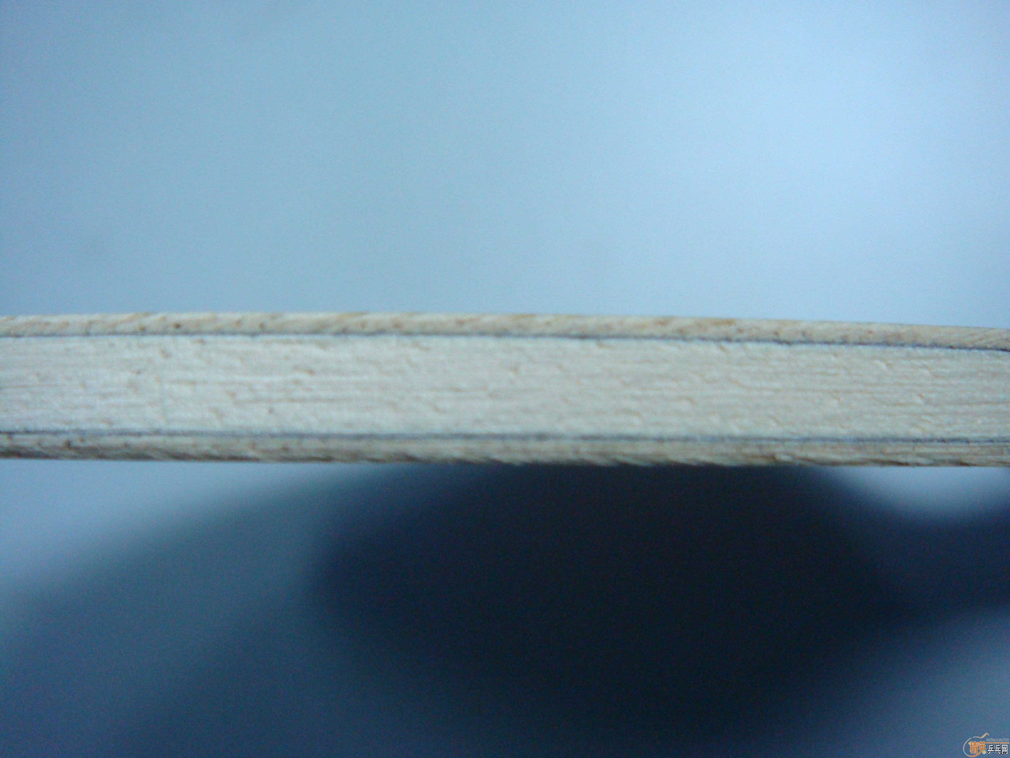 ���ѵ�����̼YCA���������α