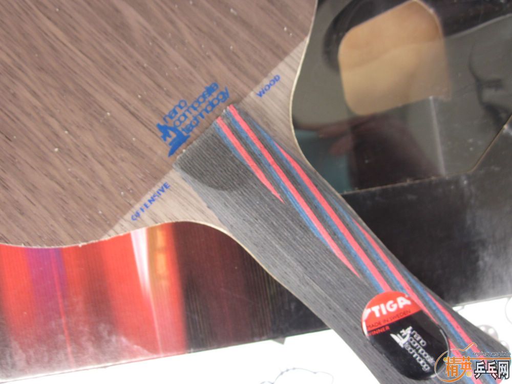 ���������ӣ�an������oc��FL��ˮ����EG��̼������֧��֧����