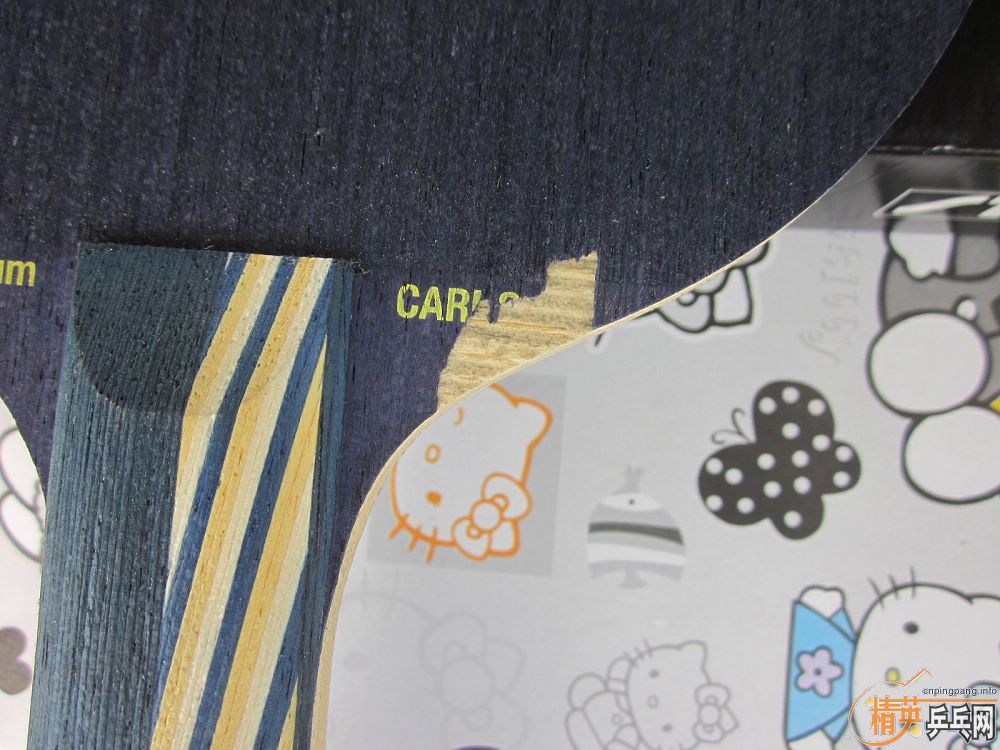 ���������ӣ�an������oc��FL��ˮ����EG��̼������֧��֧����