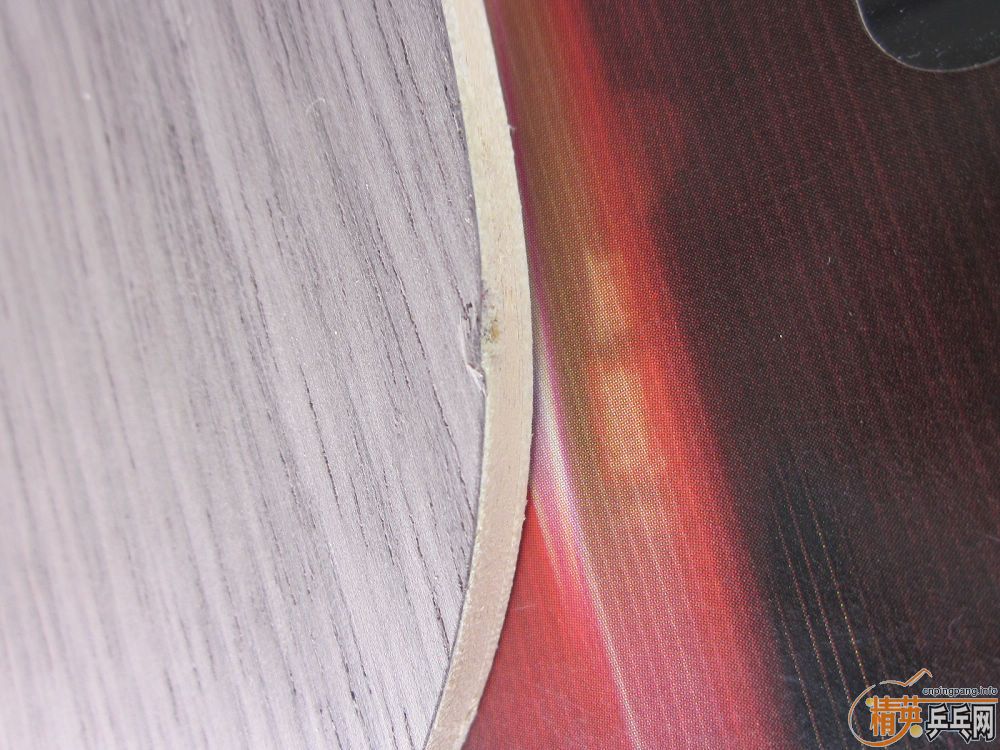 ���������ӣ�an������oc��FL��ˮ����EG��̼������֧��֧����