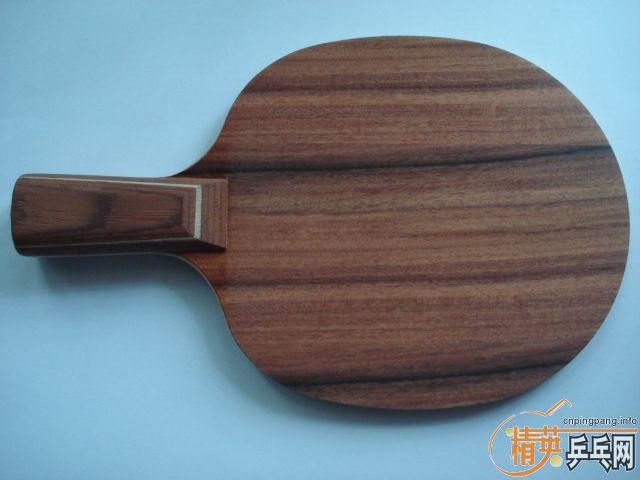 ���л�õ��5�����µĺúܶ�ģ�������