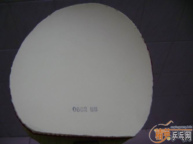 fx120nodias100