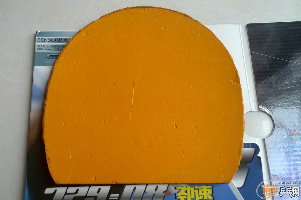 �׽����˳���������������