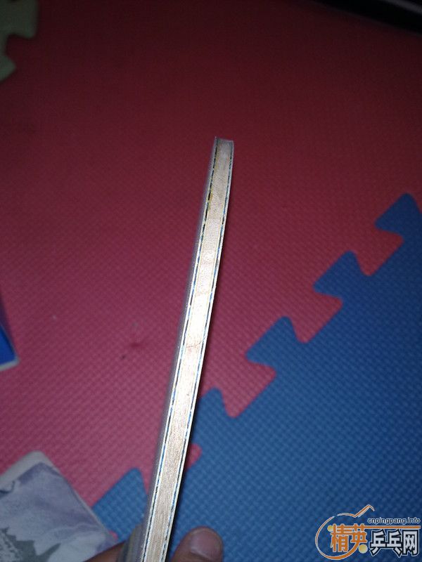 ����������VISCARIA FL