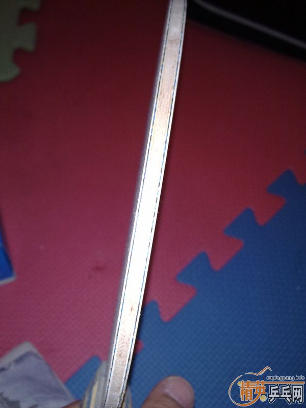 ����������VISCARIA FL