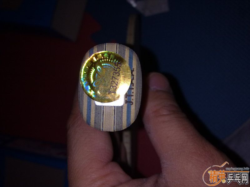 ����������VISCARIA FL