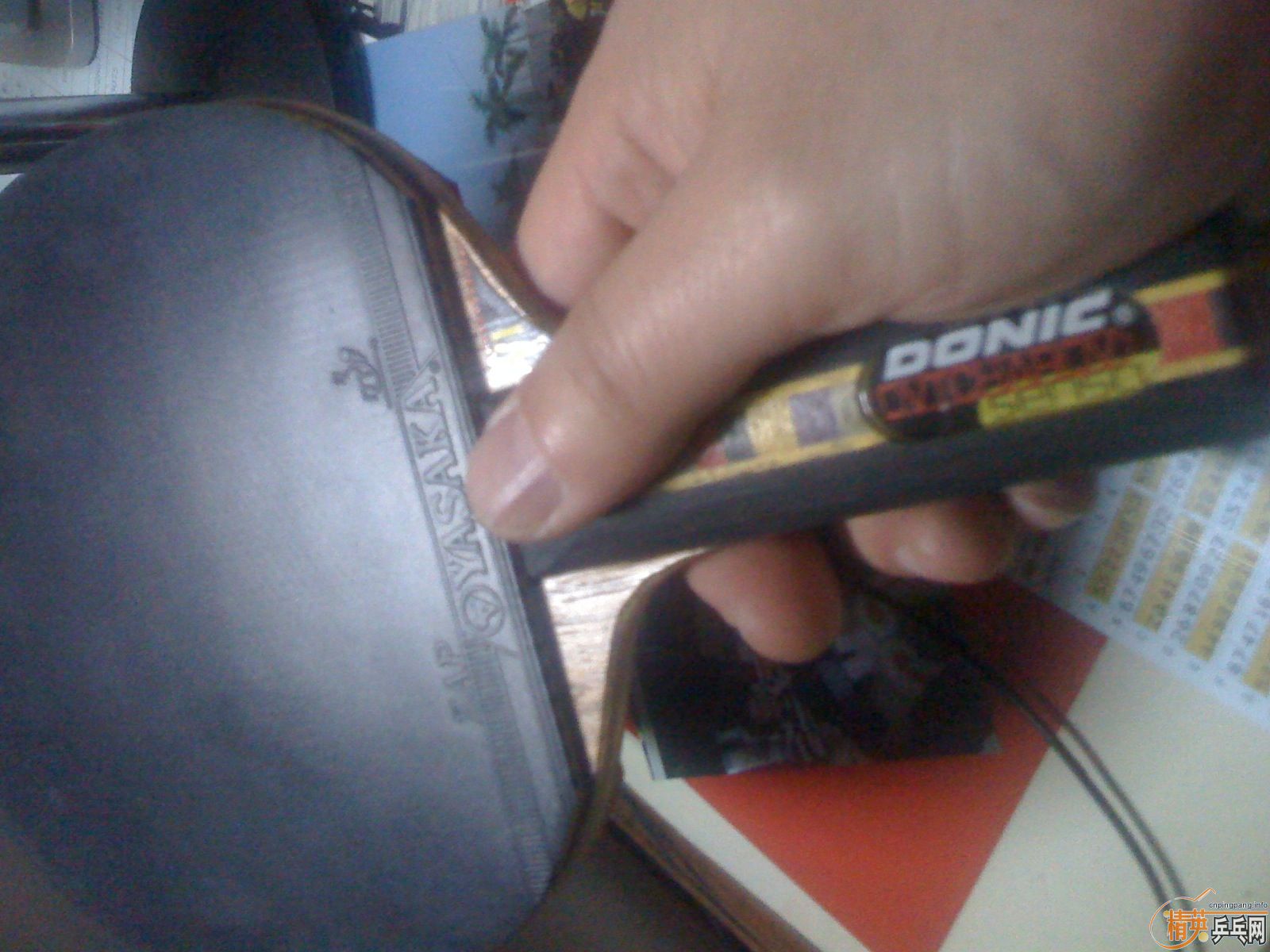 ������˰�ǡ������ֺ�һֻ