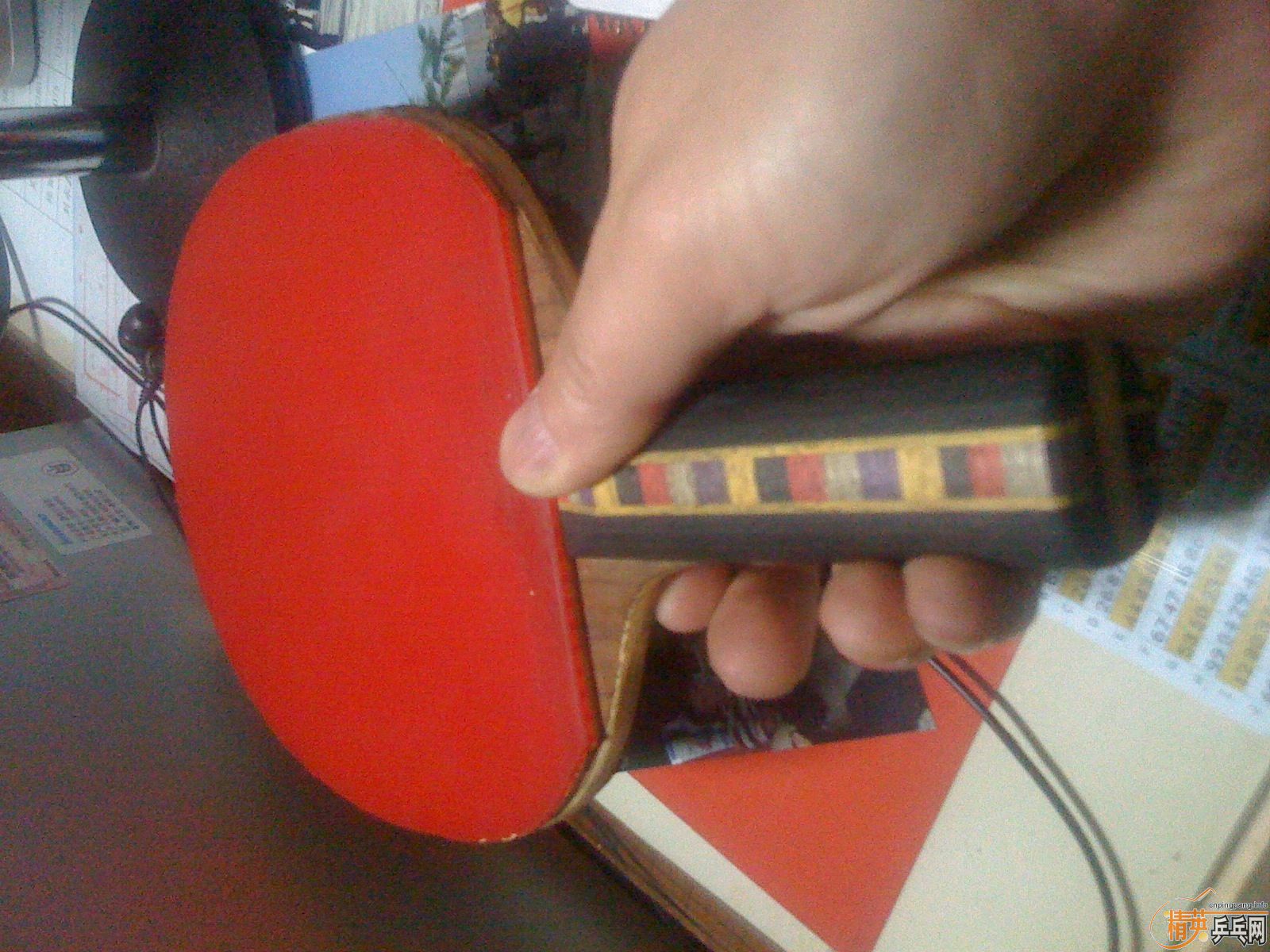 ������˰�ǡ������ֺ�һֻ