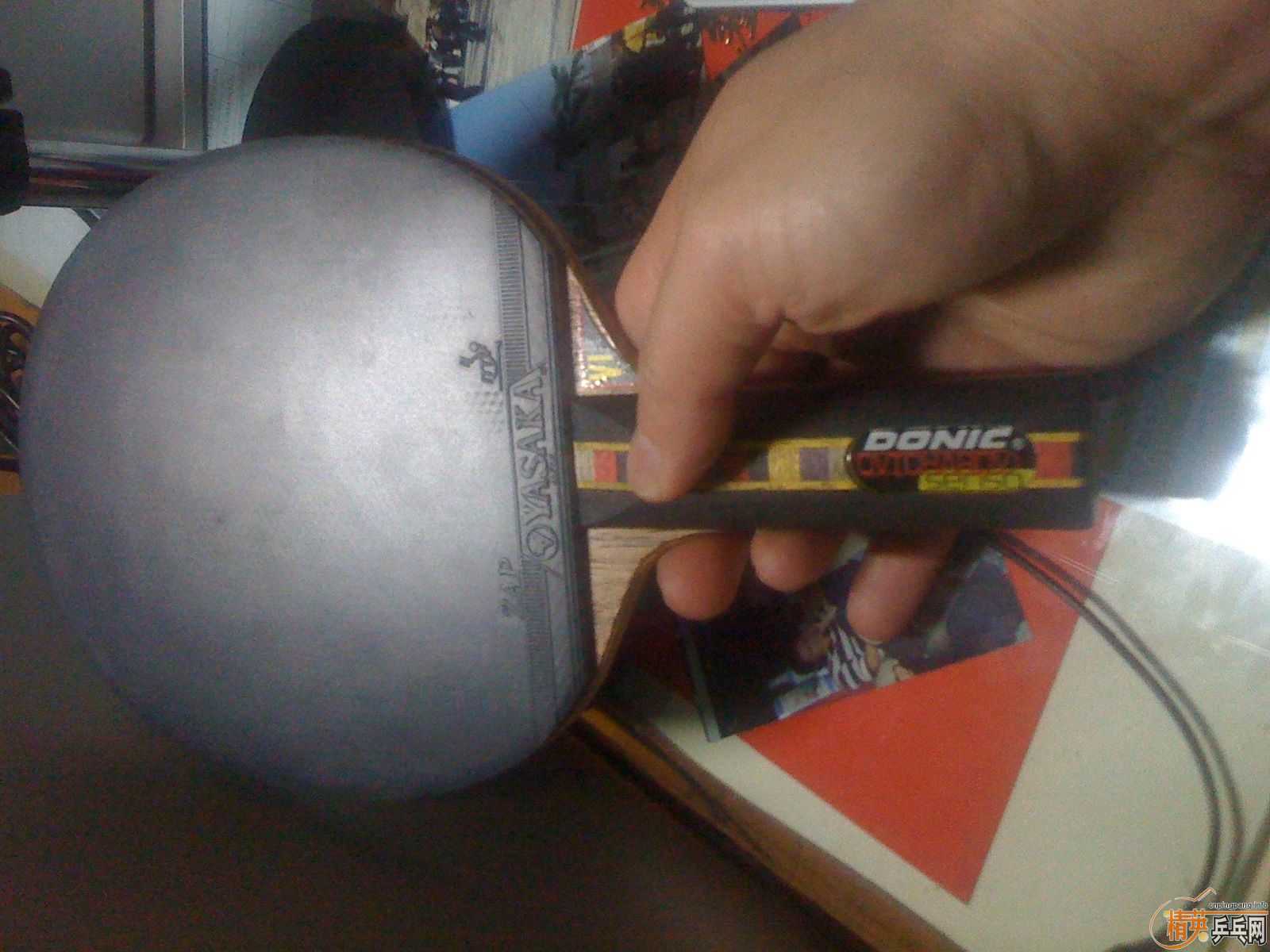 ������˰�ǡ������ֺ�һֻ