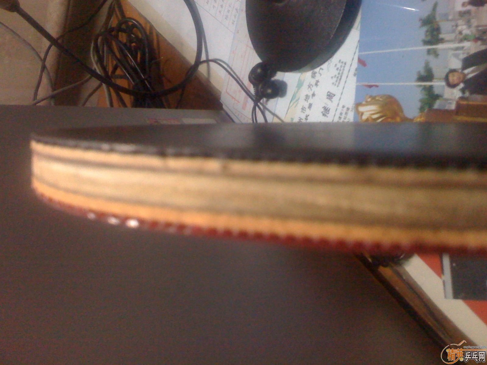 ������˰�ǡ������ֺ�һֻ