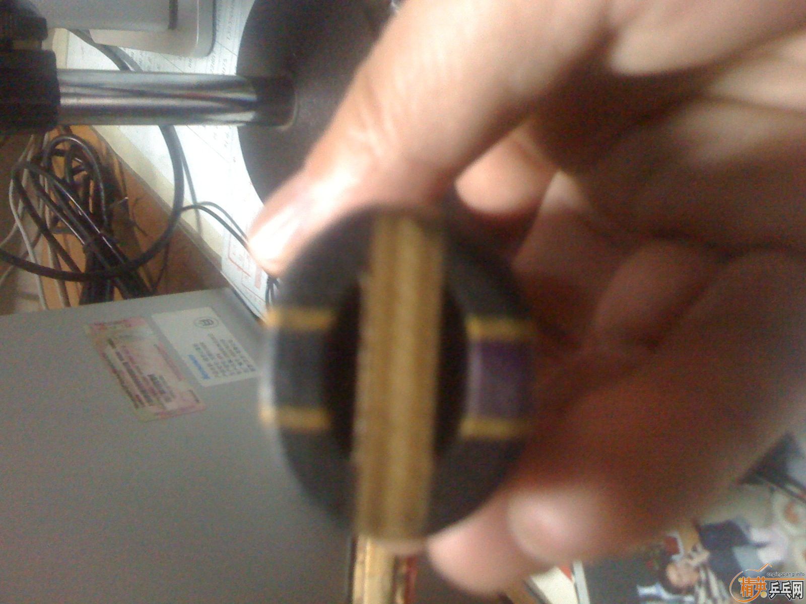 ������˰�ǡ������ֺ�һֻ