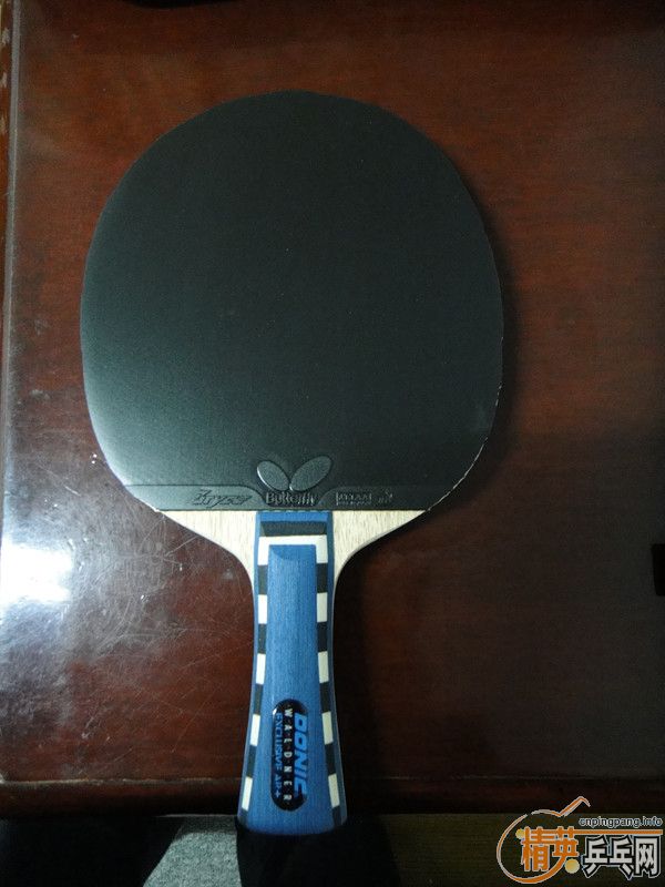 ƹ������