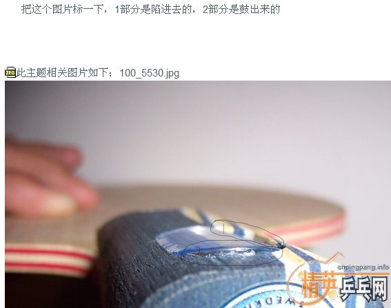 !!!! 鷳ˣ
