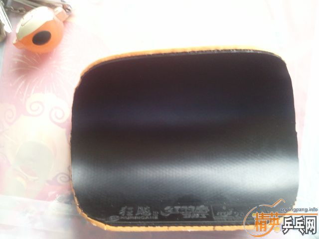 VIVA+ʡ��  ����Ȥ�Ľ�