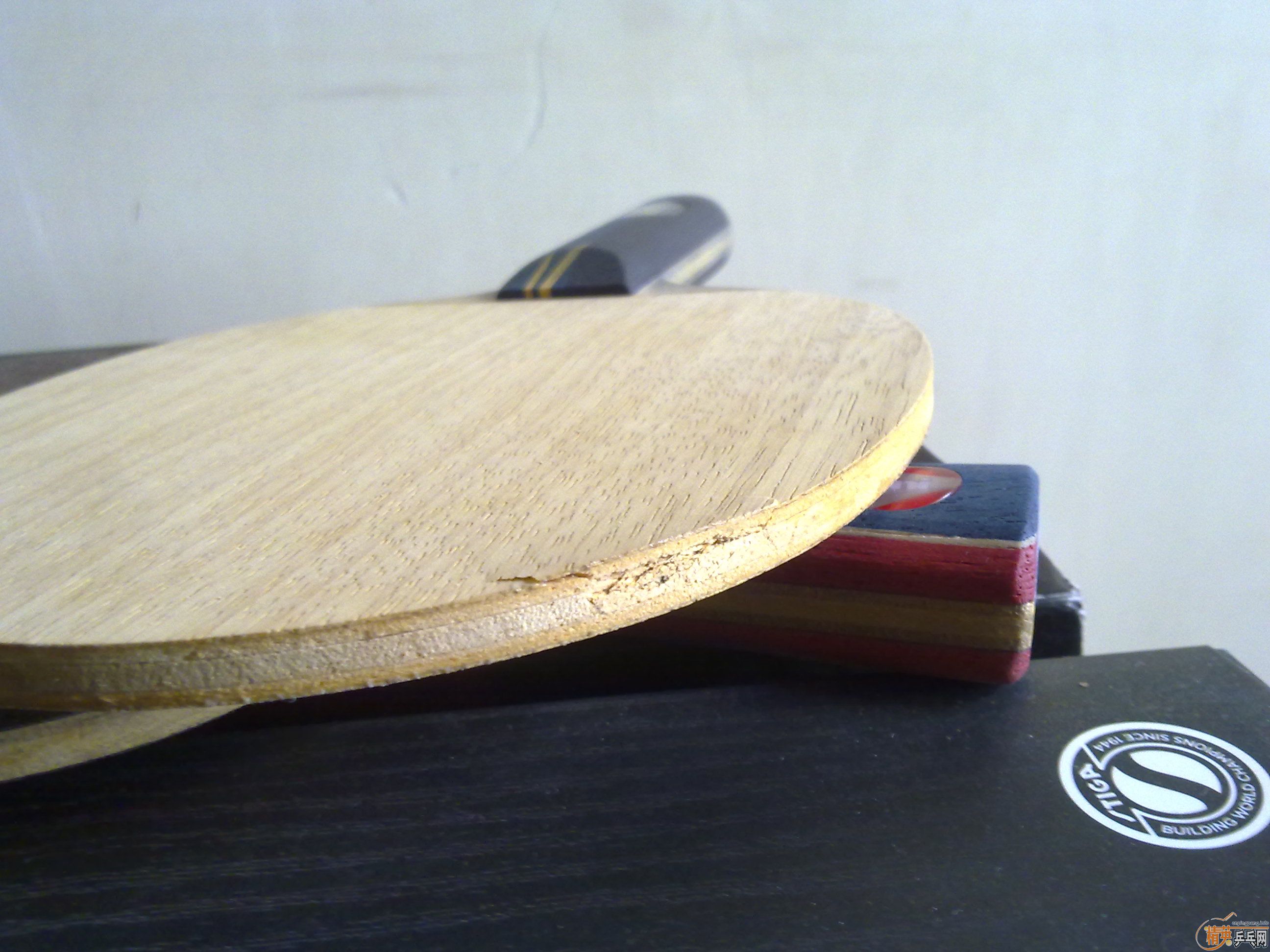 ����ST TL����