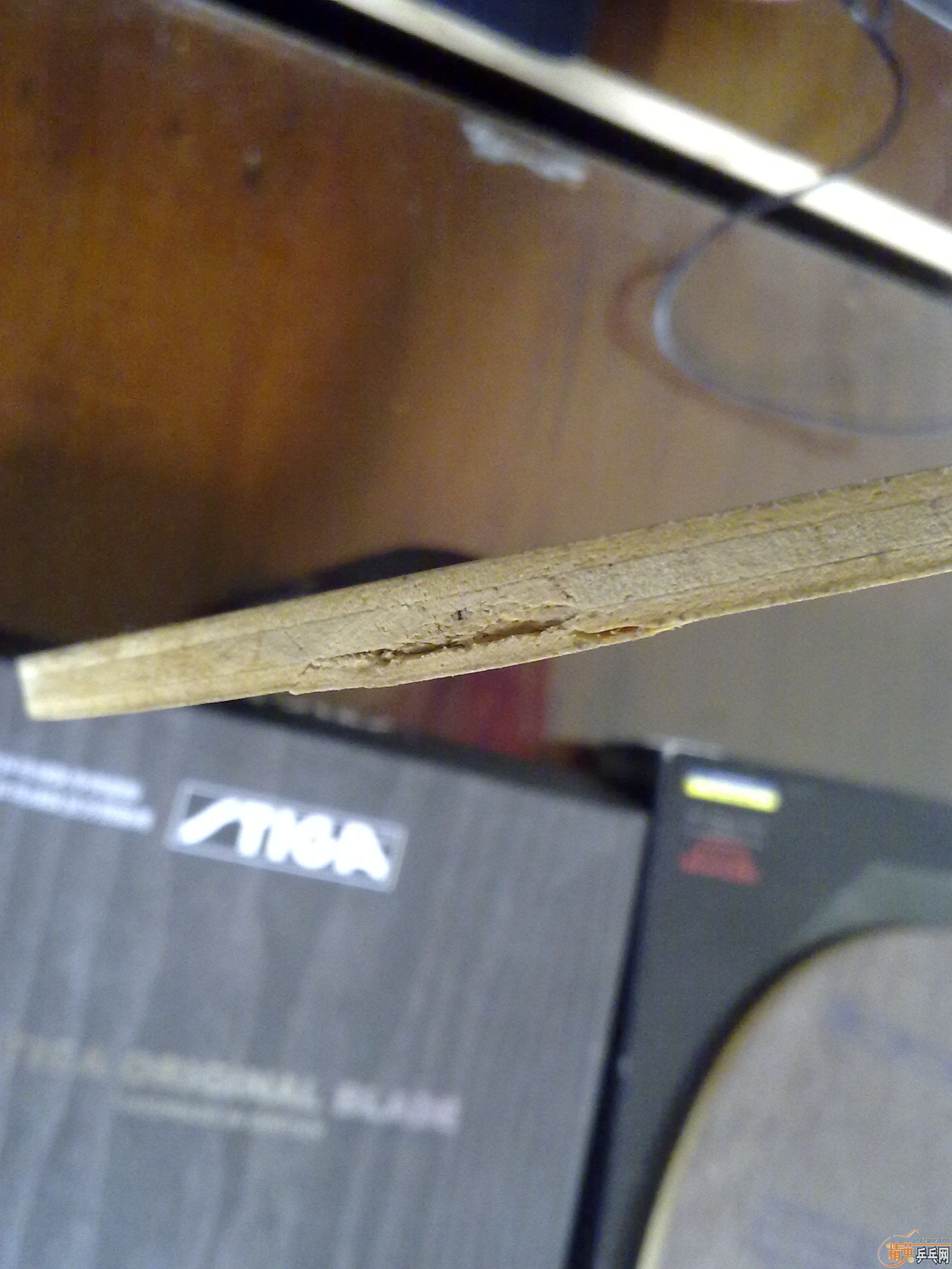 ����ST TL����