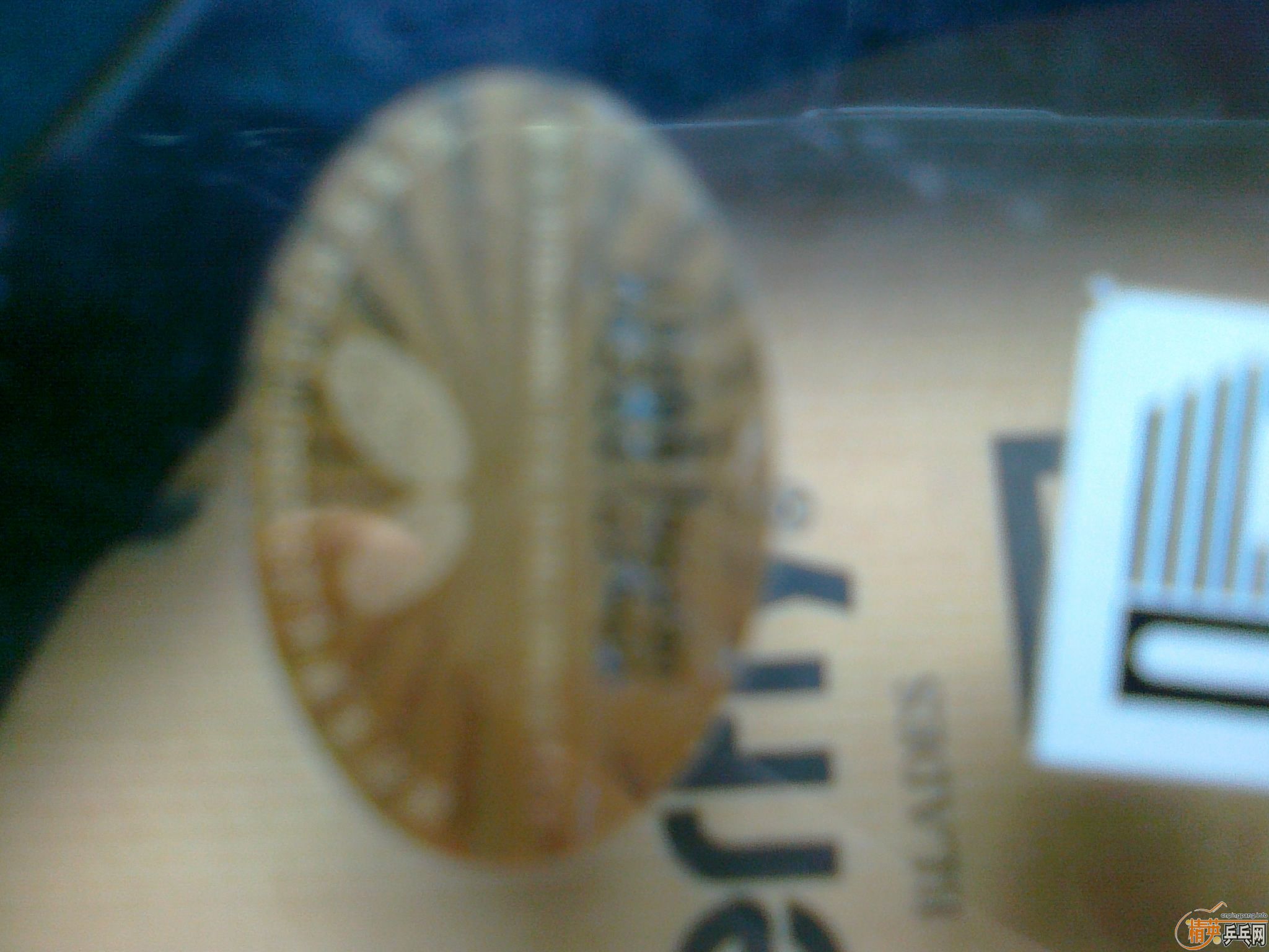 ���˳�һ����̼ ֧����