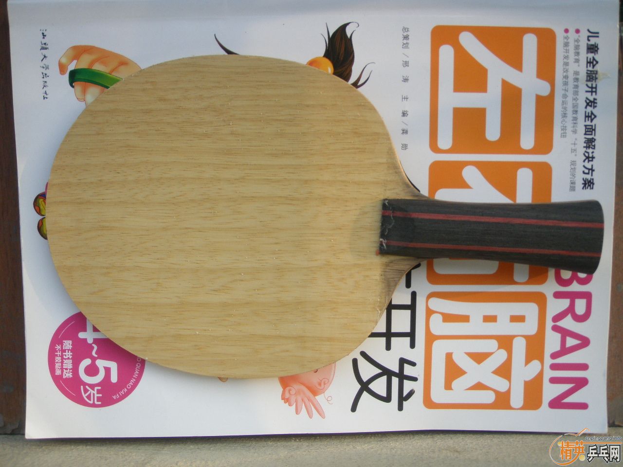 �Ʊ���SK7����������Relop,������