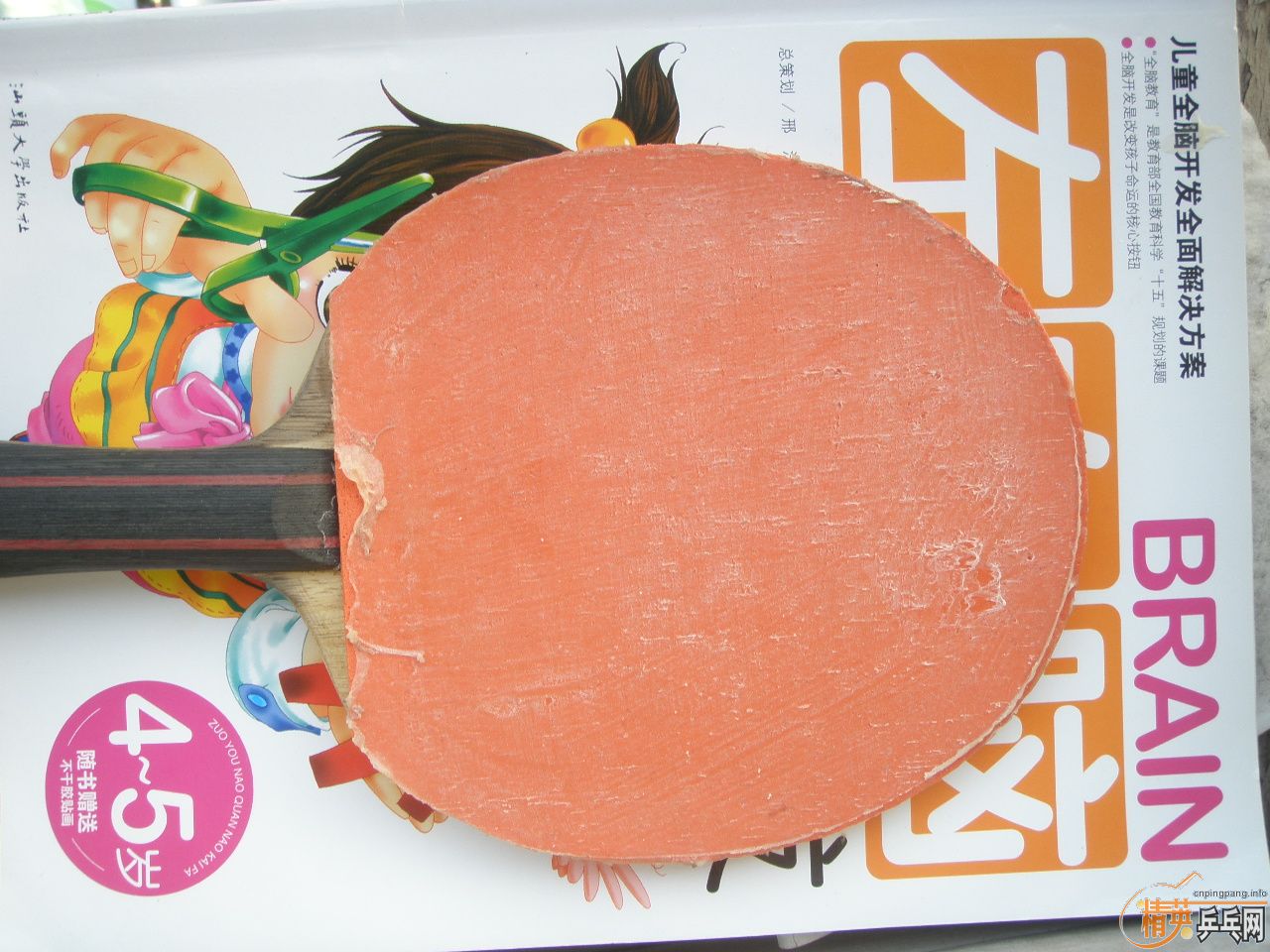 �Ʊ���SK7����������Relop,������