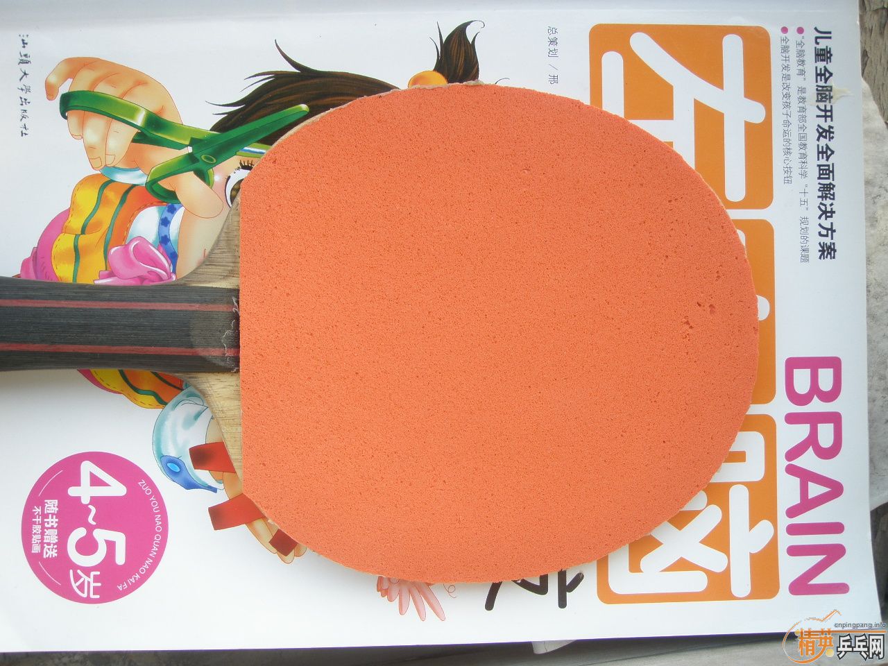 �Ʊ���SK7����������Relop,������