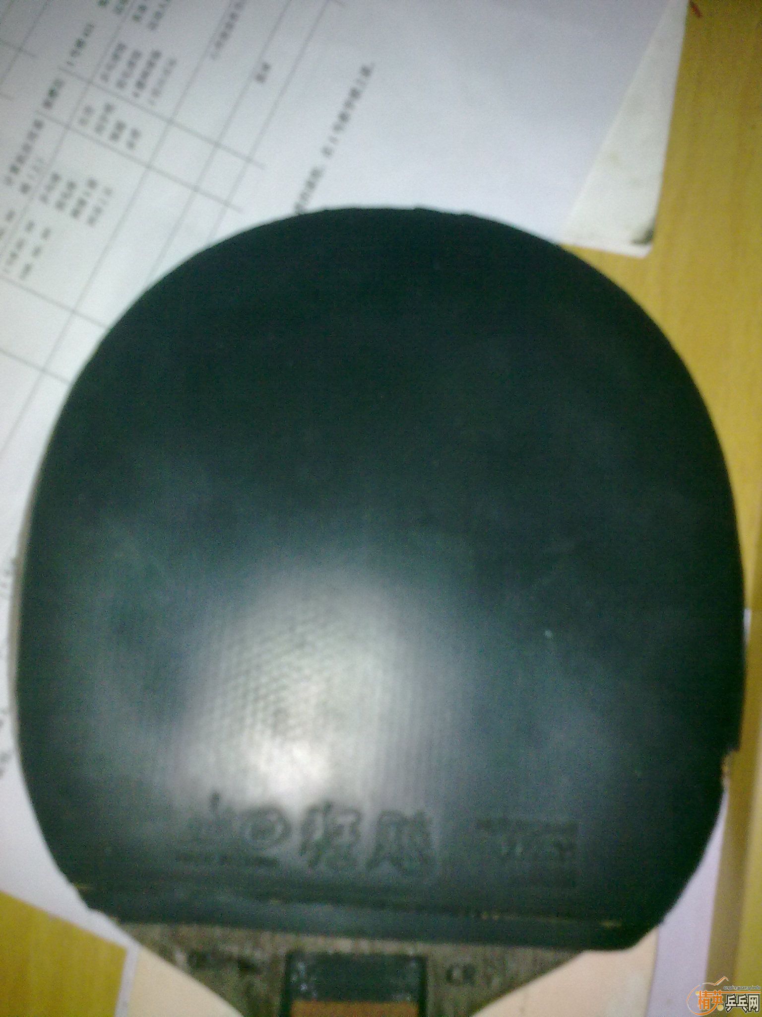 ������˹�ٿ����Ӻ������׽�����