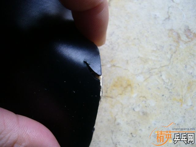 �����S1��������X1