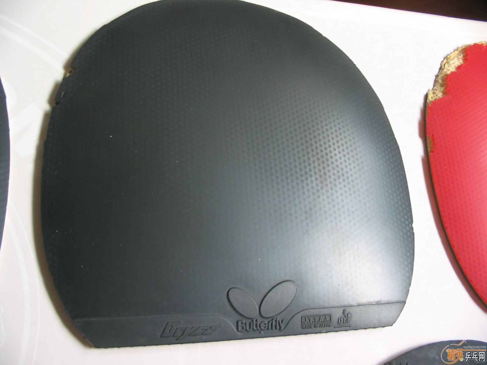 [ԭ��]���л�CL��EG����α���