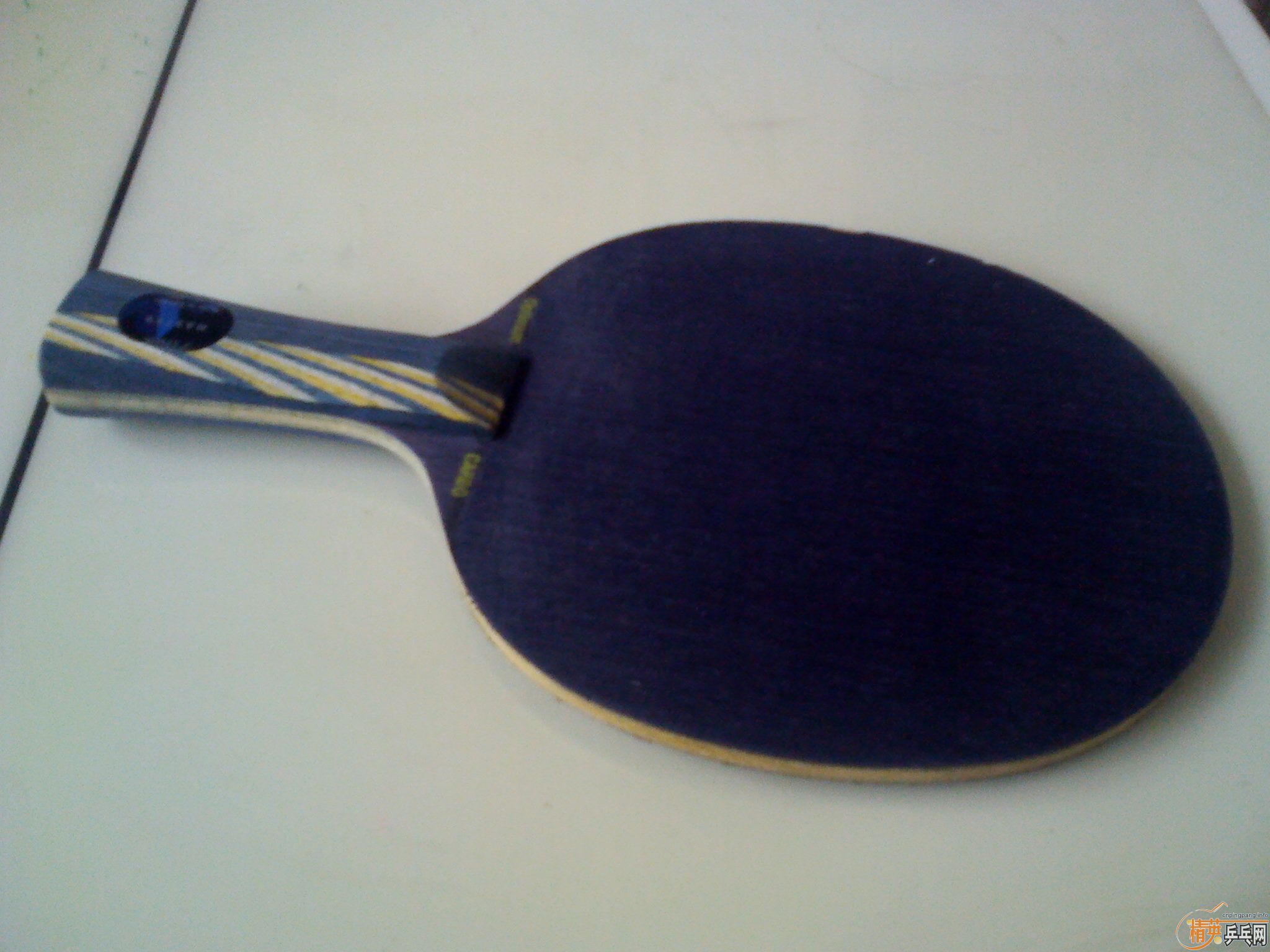 300Ԫ��˹�ٿ���ˮ����������ѵ���塢��������������Ƥ