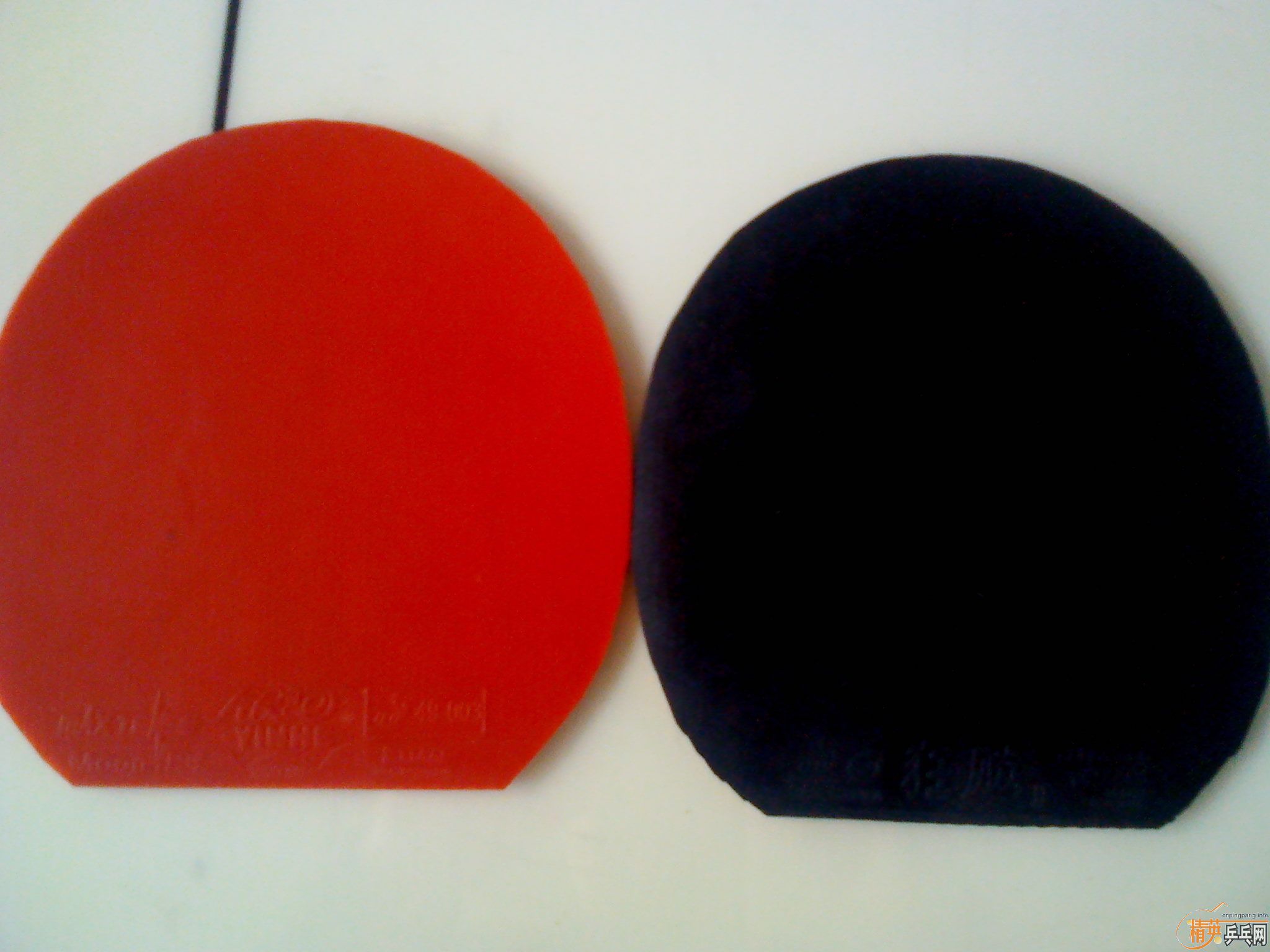 [ԭ��]300Ԫ��˹�ٿ���ˮ����������ѵ���塢��������������Ƥ