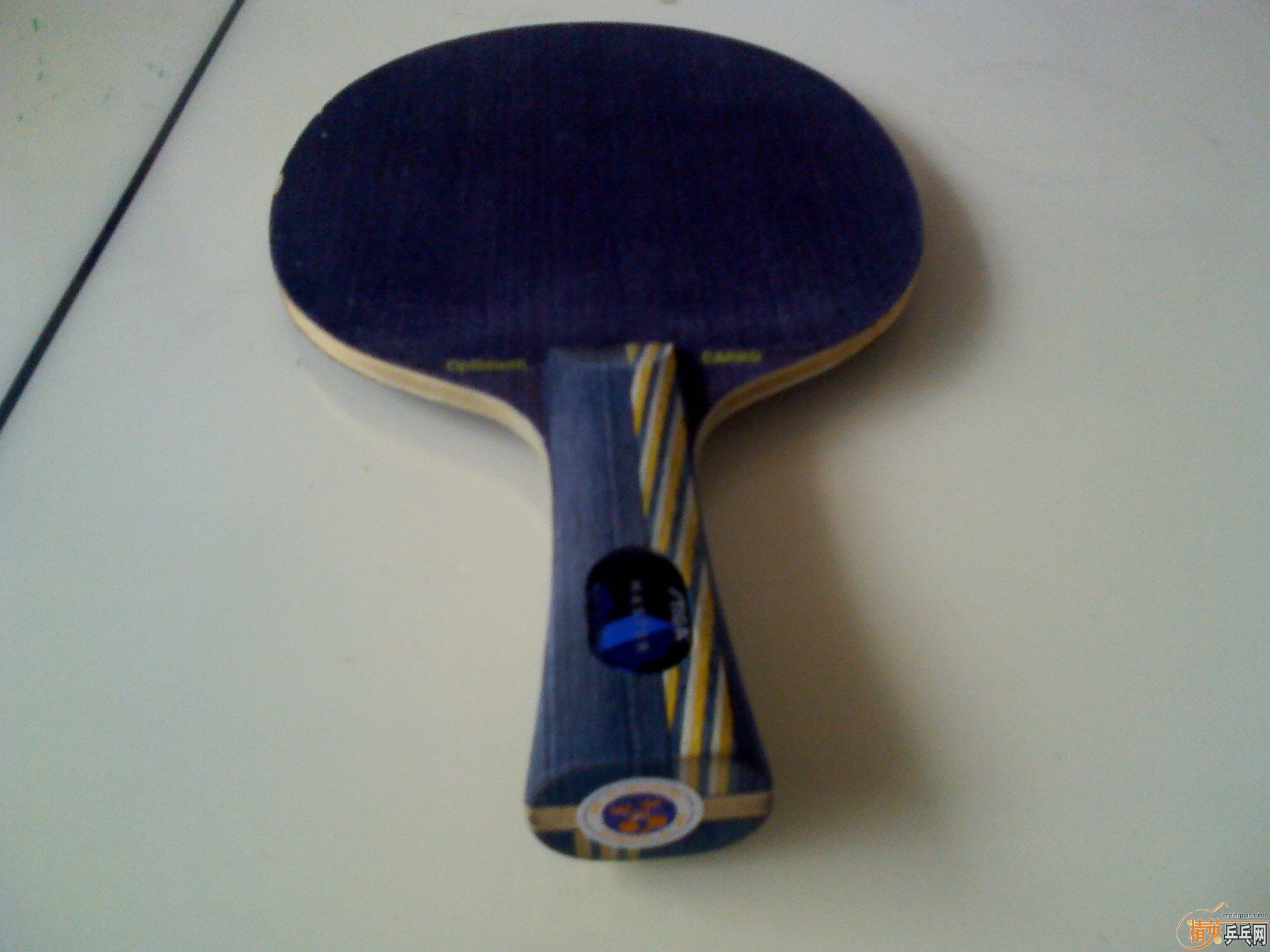 [ԭ��]300Ԫ��˹�ٿ���ˮ����������ѵ���塢��������������Ƥ