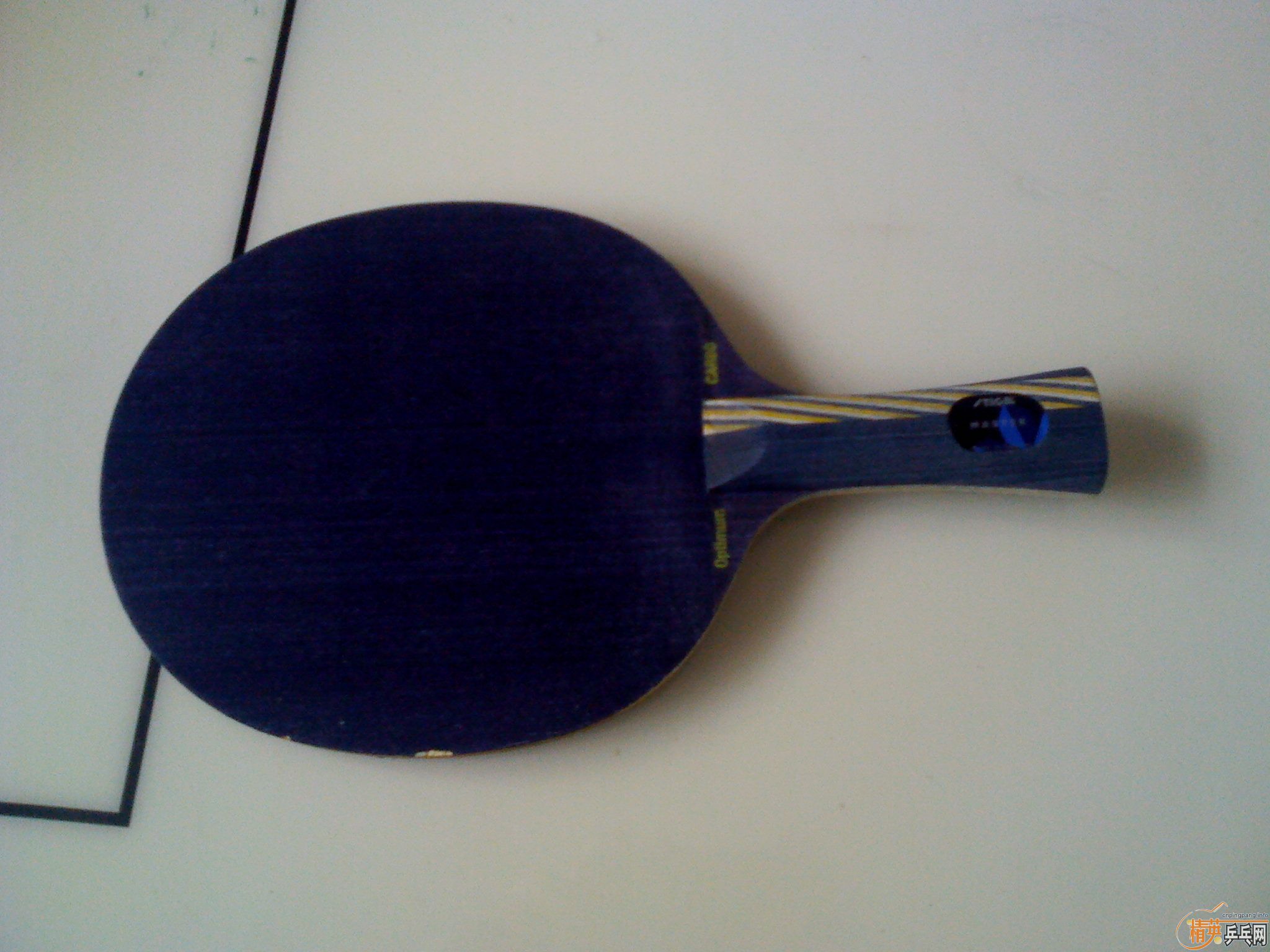 [ԭ��]300Ԫ��˹�ٿ���ˮ����������ѵ���塢��������������Ƥ