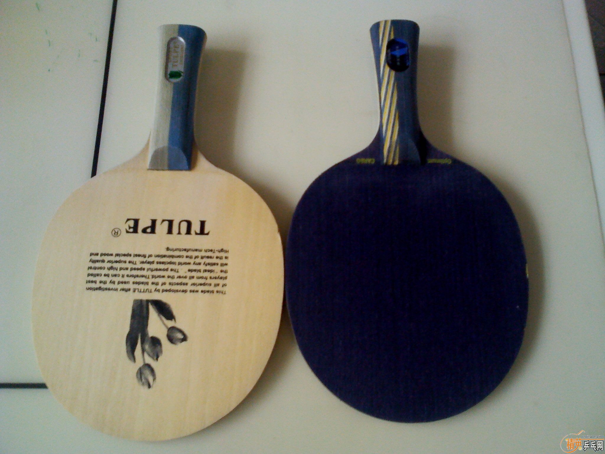 [ԭ��]300Ԫ��˹�ٿ���ˮ����������ѵ���塢��������������Ƥ