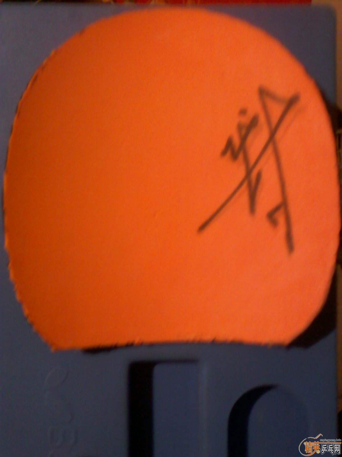 �������ú�ɫ39�ȿ��+tsp xs1����ɫ���+���������״������������ϰ�׽�