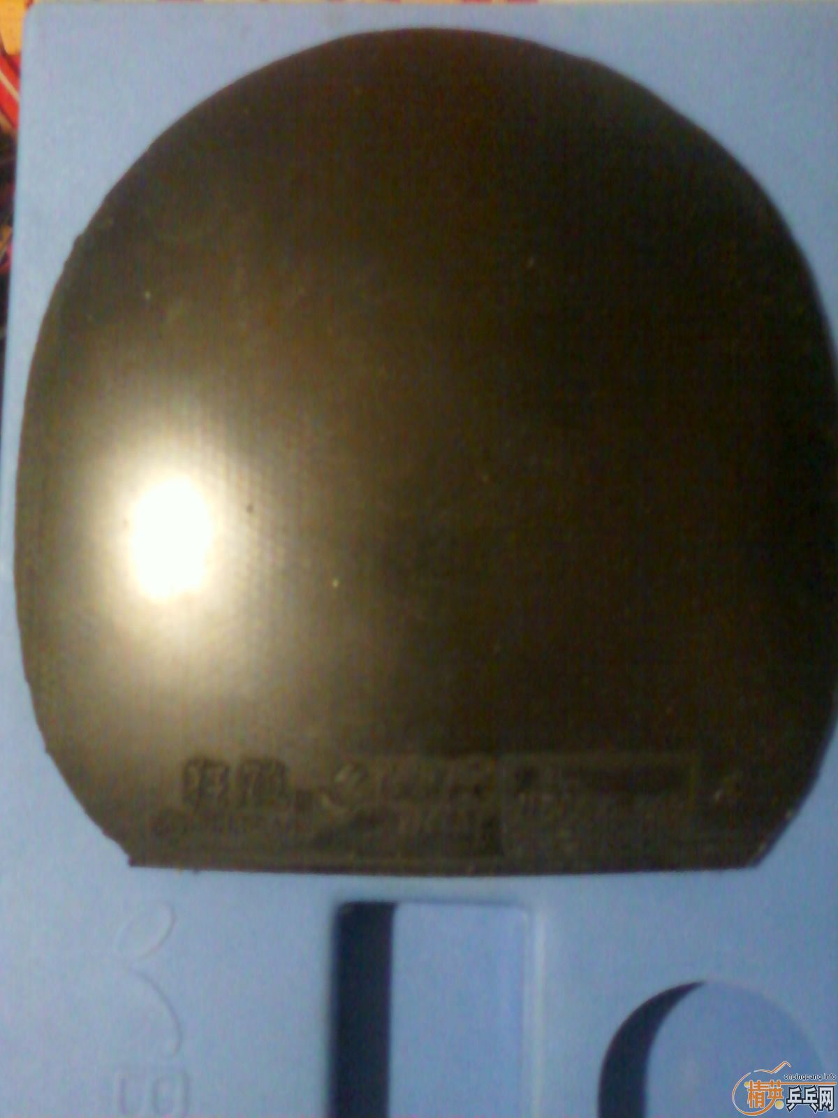 �������ú�ɫ39�ȿ��+tsp xs1����ɫ���+���������״������������ϰ�׽�